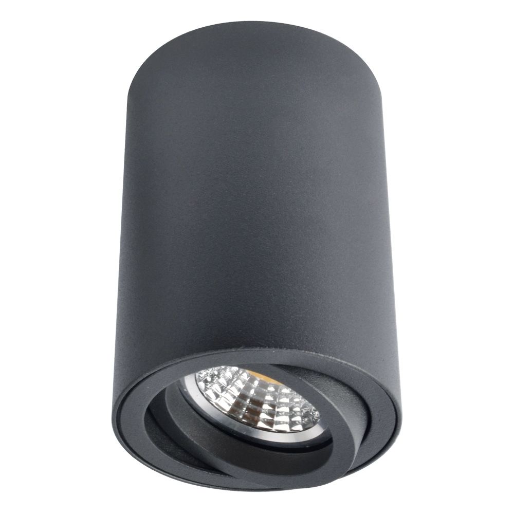 Накладной светильник Arte Lamp Sentry A1560PL-1BK