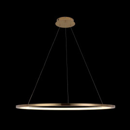 Подвесной светодиодный светильник Loft IT Ring 10014XL