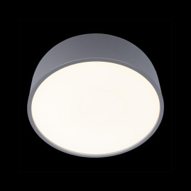 Потолочный светодиодный светильник Loft IT Axel 10201/350 Grey