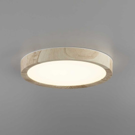 Светильник накладной Citilux Бейсик CL738122N