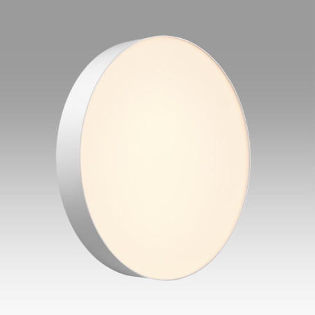 Настенно-потолочный светильник Sonex BASICA 7779/ELN