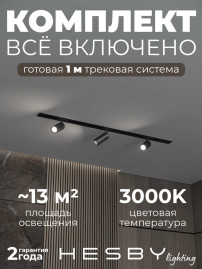 Встраиваемая однофазная трековая система Hesby Lighting Skylite №3 со светильниками HSBL_kompl_S003_VI1B3K