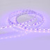 Светодиодная лента Arlight 14,4W/m 60LED/m 5060SMD синий 5M 012336