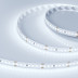 Светодиодная лента Arlight 17W/m 168Led/m 2835SMD холодный белый 5M RT-A168-10mm 24V Cool 8K 019092(2)
