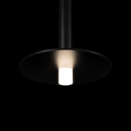 Подвесной светодиодный светильник Loft IT Reed 10358/830 Disk