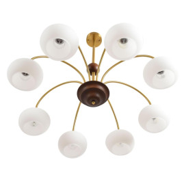 Люстра Lumion LARINA 8323/8C