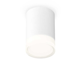 Комплект накладного светильника Ambrella light Techno Spot XS7421023 SWH/FR/CL белый песок/белый матовый/прозрачный (C7421, N7160)
