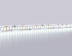 Светодиодная лента Ambrella Light 19,2W/m 240LED/m 2835SMD холодный белый 5M GS1503