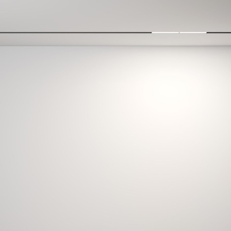 Трековый светодиодный светильник Maytoni Technical Exility Parete TR106-2-12W4K-B