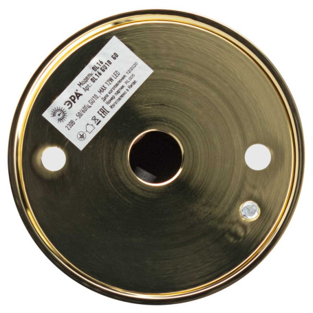 Накладной светильник ЭРА OL16 GU10 GD Б0049047