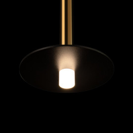 Подвесной светодиодный светильник Loft IT Reed 10358/830 Disk AB