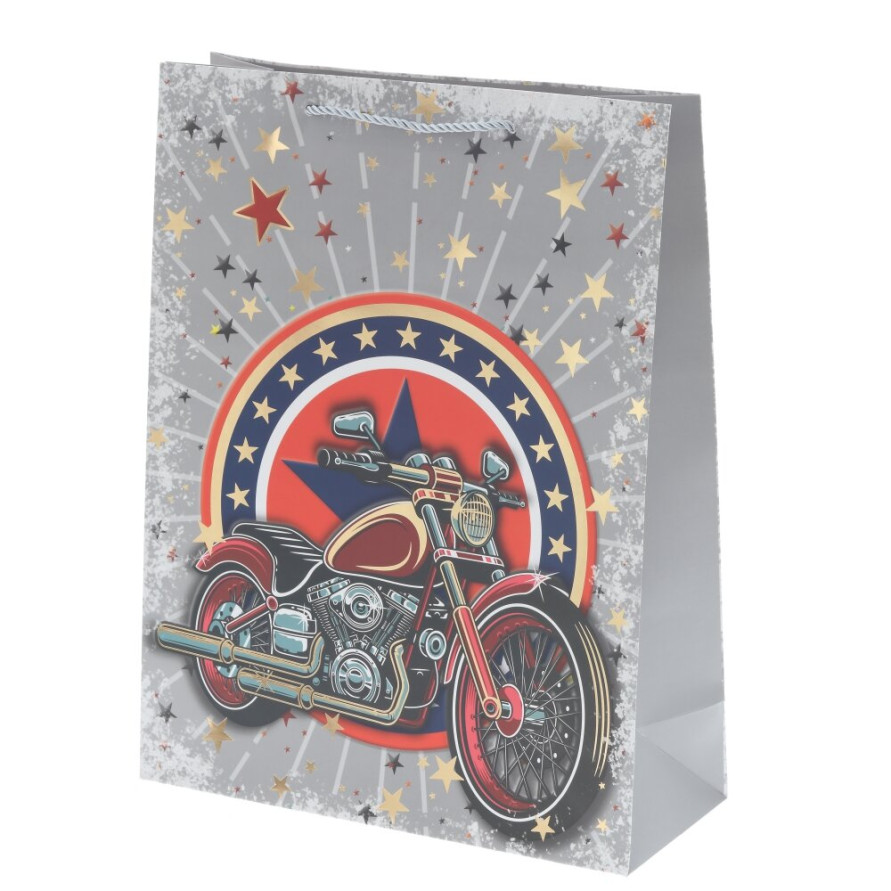 Пакет подарочный L (бумага 210г/м2, блок микс 12шт), L30 W12 H39 см, 4в.