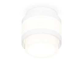 Комплект накладного светильника Ambrella light Techno Spot XS (C8431, N8401) XS8431001