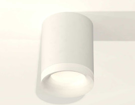 Комплект накладного светильника Ambrella light Techno Spot XS7421024 SWH/FR белый песок/белый матовый (C7421, N7165)
