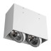 Потолочный светильник Arte Lamp Cardani A5936PL-2WH