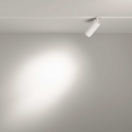 Трековый светильник Voltega Эксилайт / Exilight VGL032-4-5W3K-S-DS-W