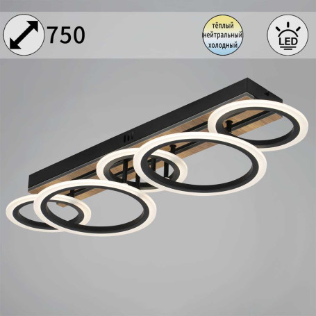 Светильник потолочный Reluce 00330-0.3-3+2