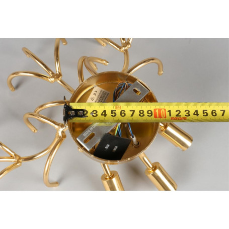 Бра Aployt Rochell APL.850.01.03