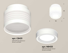 Комплект накладного светильника Ambrella light Techno Spot XS (C8431, N8433) XS8431002