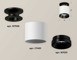 Комплект накладного светильника Ambrella light Techno Spot XS7401083 SWH/PBK белый песок/черный полированный (N7926, C7401, N7031)