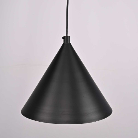 Подвесной светильник Imperium Loft Roundew D29 Black 302464-26