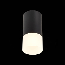 Потолочный светильник ST Luce ST100.412.01