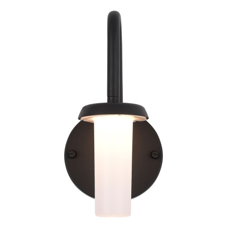 Уличный настенный светодиодный светильник ST Luce Candle SL9539.701.01