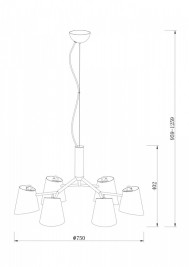 Подвесная люстра Freya Nordic FR5127PL-06B