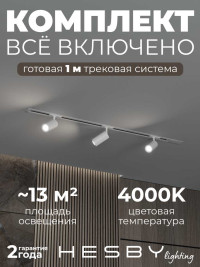 Встраиваемая однофазная трековая система Hesby Lighting Skylite №3 со светильниками HSBL_kompl_S003_VI1W4K