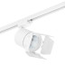 Комплект с трековым светильником Lightstar Canno Led (301262+202996) C126296