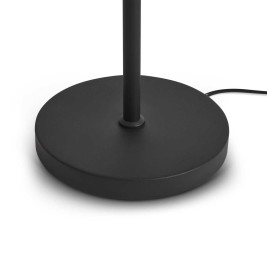 Напольный светильник Freya Modern FR5553FL-L20B