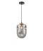 Подвесной светильник Vele Luce Alieno VL5352P31