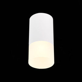Потолочный светильник ST Luce ST100.512.01