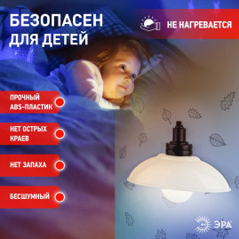 Ночник-светильник на батарейках ЭРА NLED-487-1W-SW-W Б0051474