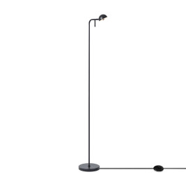 Напольный светильник Freya Modern FR5549FL-L5B