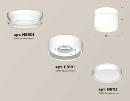 Комплект накладного светильника Ambrella light Techno Spot XS (N8901, C8101, N8112) XS8101045