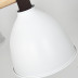 Потолочная люстра Imperium Loft Flan 178009-26