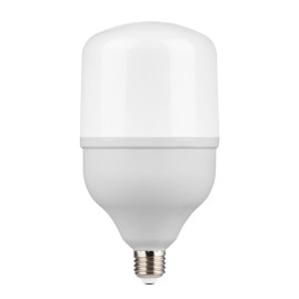 Лампа светодиодная Gauss E27 50W 6500K матовая 63235