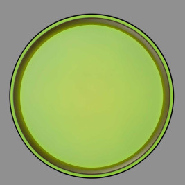 Потолочный светодиодный светильник Citilux Boss CL751251G