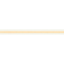 Светодиодная влагозащищенная лента Arlight 11,5W/m 544LED/m CSP теплый белый 5M 032179(2)