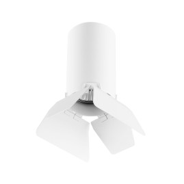 Комплект с потолочным светильником Lightstar Rullo (214436+202436) R436436