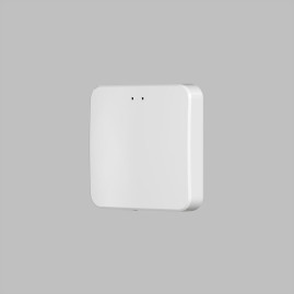 Конвертор Denkirs Control BT DK7401-WF