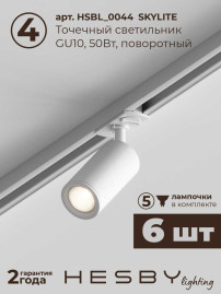 Встраиваемая однофазная трековая система Hesby Lighting Skylite №3 со светильниками HSBL_kompl_S003_VI2W4K