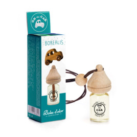 Ароматизатор в авто Северное сияние