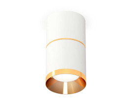 Комплект потолочного светильника Ambrella light Techno Spot XS (C7401, A2072, C7401, N7034) XS7401201