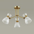 Потолочная люстра Lumion Comfi Jackie 3704/3C