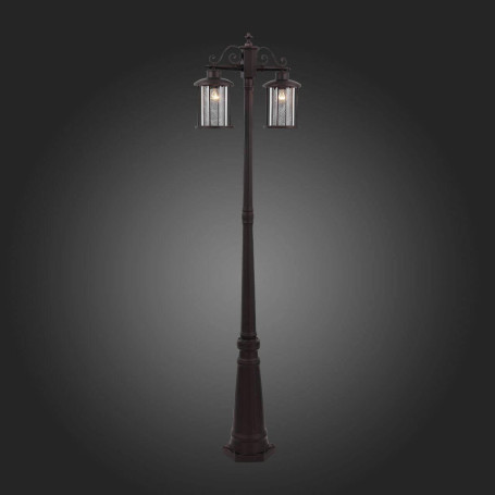 Садово-парковый светильник ST Luce Lastero SL080.425.02