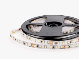 Светодиодная лента LEDS POWER 2835 120/м (9,6Вт/м) 24В холодная, серия LIGHT 004167