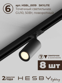 Встраиваемая однофазная трековая система Hesby Lighting Skylite №3 со светильниками HSBL_kompl_S003_VI3B3K