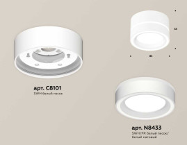 Комплект накладного светильника Ambrella light Techno Spot XS (C8101, N8433) XS8101018